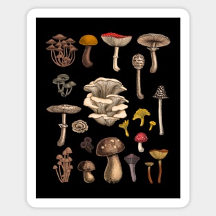 Wild mushrooms Sticker
